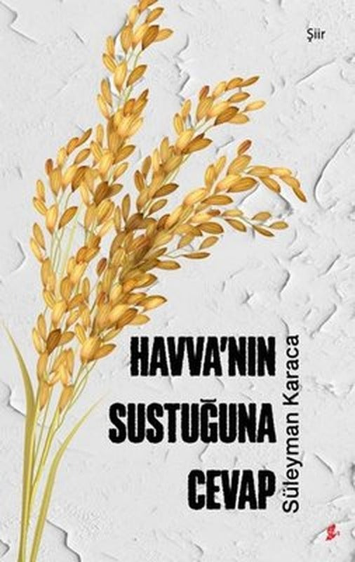 Havva'nın Sustuğuna Cevap | Okur Kitaplığı