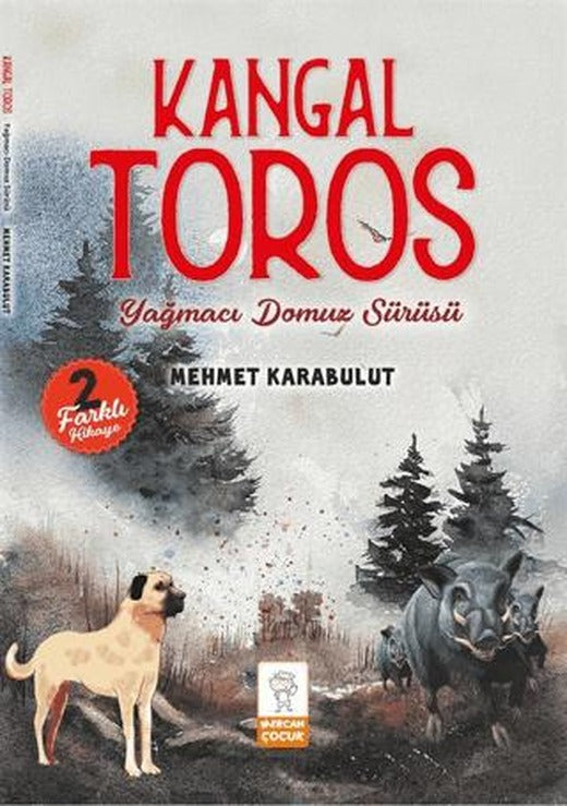 Kangal Toros - Yağmacı Domuz Sürüsü | Mercan Çocuk Yayınları (Ciltsiz)