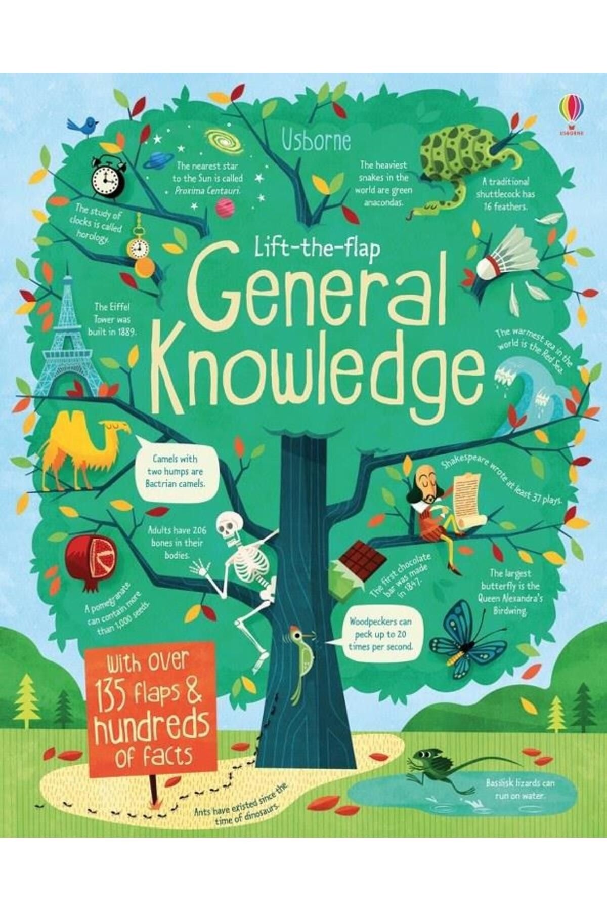 General Knowledge | Usborne (Ciltli)