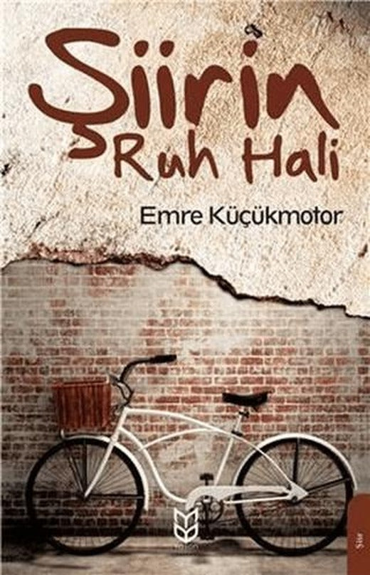 Şiirin Ruh Hali | Yason Yayıncılık (Ciltsiz)