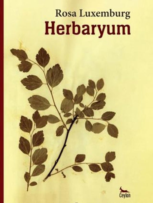 Herbaryum