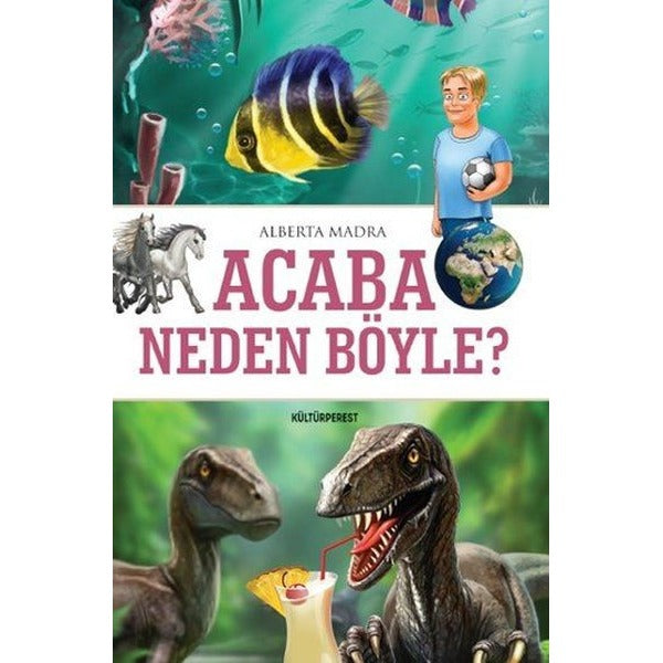 Acaba Neden Böyle?