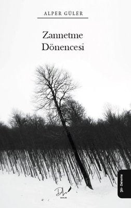Zannetme Dönencesi | DLS Yayınları