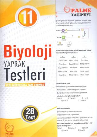 Palme Yaprak Test 11. Sınıf Biyoloji