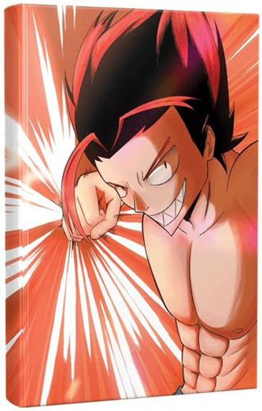 Punch Anime-manga Planlama Defteri | Halk Kitabevi