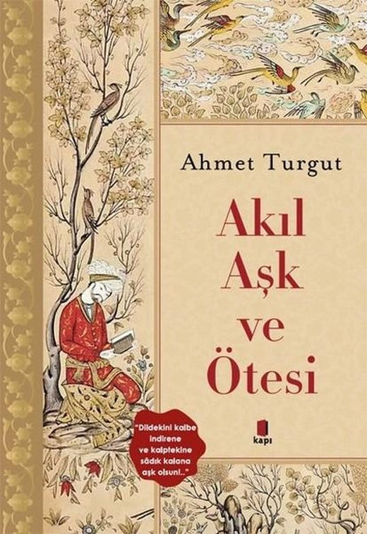 Akıl Aşk ve Ötesi | Kapı Yayınları (İnce Kapak)
