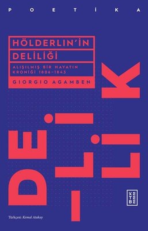 Hölderlin'in Deliliği - Alışılmış Bir Hayatın Kroniği 1806 - 1843 | Ketebe Yayınları