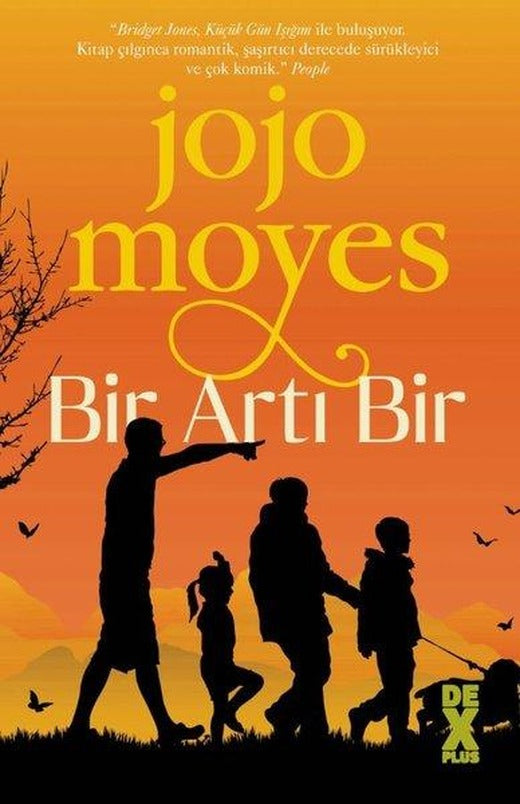 Bir Artı Bir | DEX (İnce Kapak)