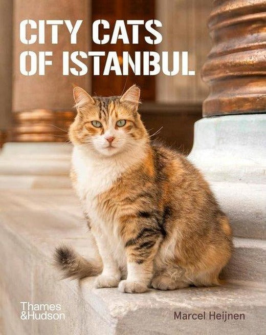 City Cats of Istanbul | Thames & Hudson (İnce Kapak)