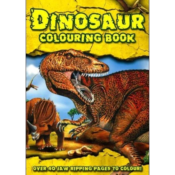 Dinosaur Colouring Book