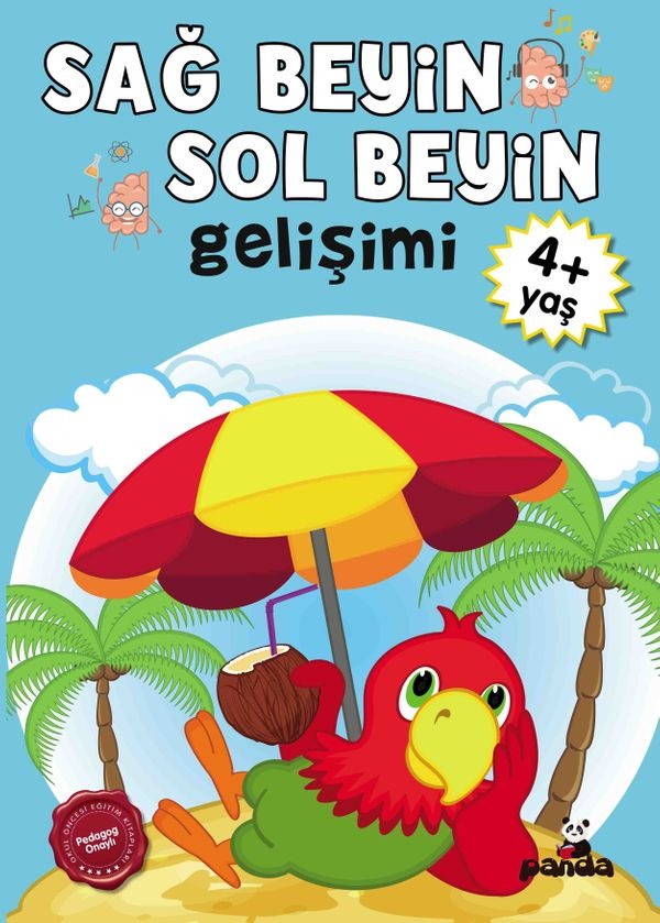 4 Yaş Sağ Beyin - Sol Beyin Gelişimi | Panda (İnce Kapak)