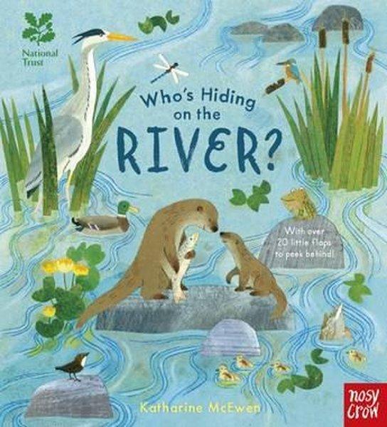 Nt The Castle The Kıng Buılt Pb | NOSY CROW (Ciltli) - Resim 1