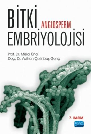 Bitki Angiosperm Embriyolojisi