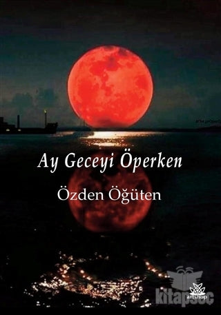 Ay Geceyi Öperken - Özden Öğüten kitap kapağı