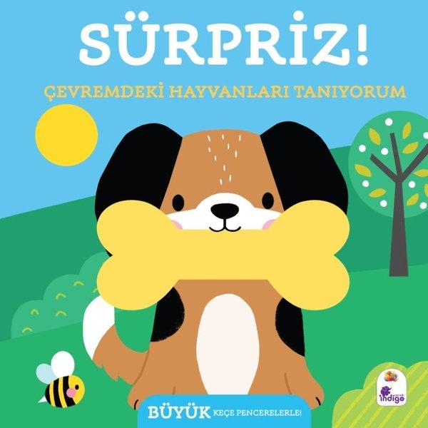 Sürpriz! Çevremdeki Hayvanları Tanıyorum | İndigo Çocuk (Ciltli) - Resim 1