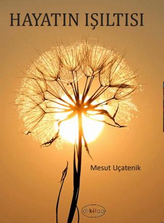 Hayatın Işıltısı