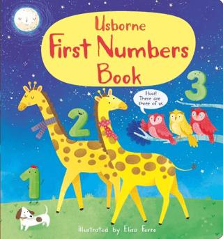 First Numbers Book | Usborne (Ciltli) - Resim 1