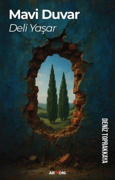Mavi Duvar | Armoni (İnce Kapak) - Resim 1