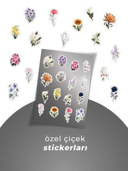 Sonsuz Gece Tek Kitaplık Kutu - MIH 4 | Ephesus Yayınları (Ciltli) - Resim 4