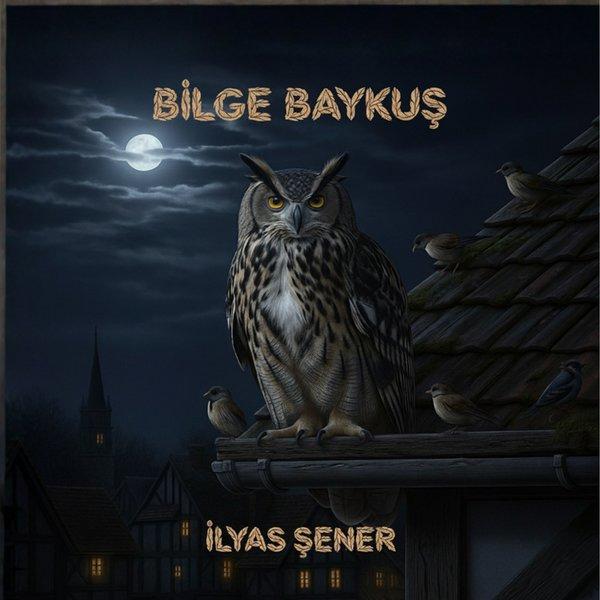 Bilge Baykuş | MST Ajans Production (İnce Kapak) - Resim 1