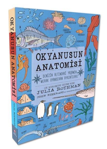 Okyanusun Anatomisi - Denizin Altındaki Yaşamın Merak Uyandıran Ayrıntıları | ODTÜ Yayıncılık (İnce Kapak) - Resim 1