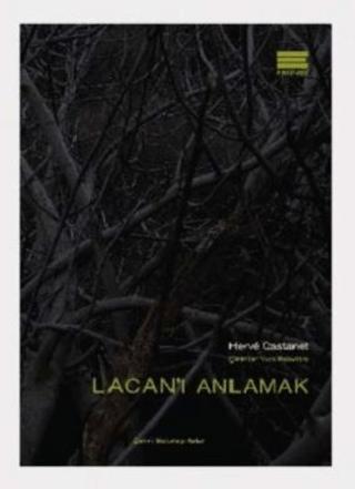 Lacan'ı Anlamak