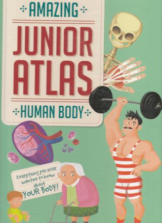 Human Body (Amazing Junior Atlas) | Yoyo Books (Ciltli) - Resim 1