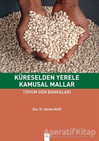 Küreselden Yerele Kamusal Mallar - Sevda Akar - Dora Basım Yayın - Resim 1
