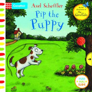 Pip the Puppy | Pan Macmillan (Ciltsiz) - Resim 1