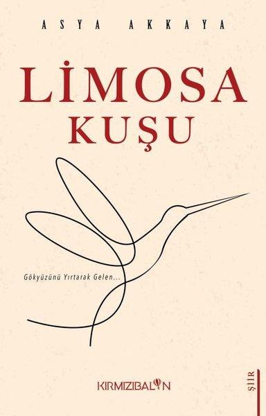 Limosa Kuşu | Kırmızı Balon (İnce Kapak) - Resim 1