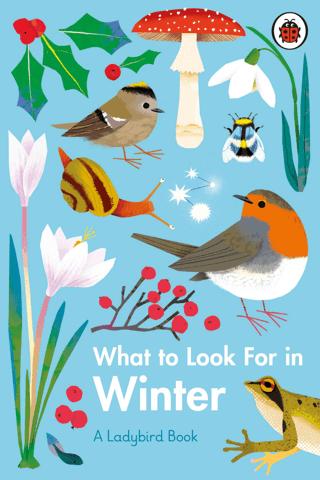 What to Look For in Winter | Ladybird Book (Ciltli) - Resim 1