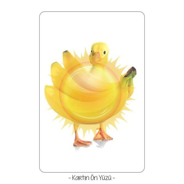 Bak Bak Saklambaç-Dikkati Geliştiren Oyun Kartları 2+ | Uçan Kitap (İnce Kapak) - Resim 2