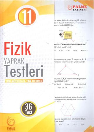 Palme Yaprak Test 11. Sınıf Fizik | Palme Yayınları (Ciltsiz) - Resim 1