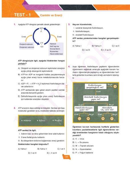 AYT Biyoloji Soru Bankası (2.Oturum) | Karekök Eğitim Yayın (İnce Kapak) - Resim 5