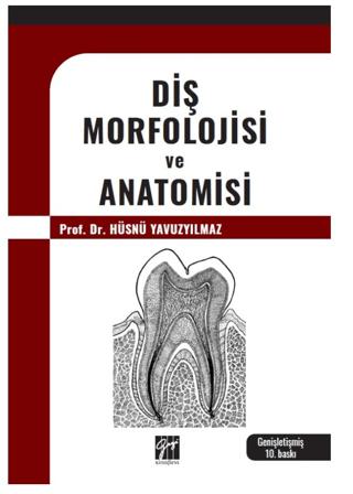 Diş Morfolojisi ve Anatomisi | Gazi Kitabevi (Ciltsiz) - Resim 1