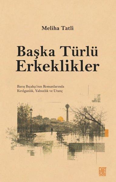 Başka Türlü Erkeklikler - Barış Bıçakçı'nın Romanlarında Kırılganlık Yalnızlık ve Utanç | Palet Yayınları (İnce Kapak) - Resim 1