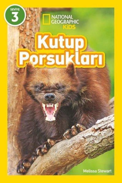 Kutup Porsukları - National Geographic Kids - Seviye 3 | Beta Kids (İnce Kapak) - Resim 1