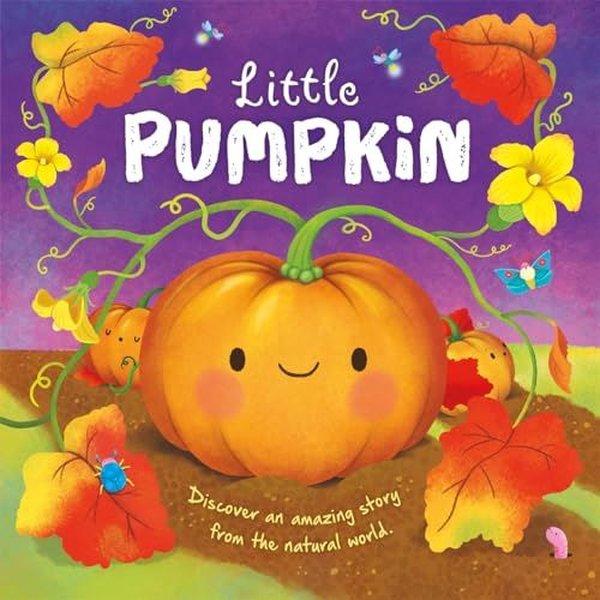 Little Pumpkin | Bonnier Books UK (Ciltli) - Resim 1