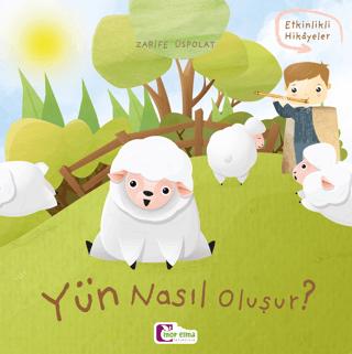 Yün Nasıl Oluşur?
