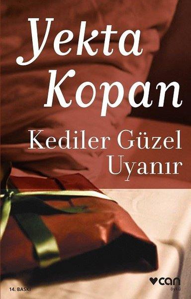 Kediler Güzel Uyanır | Can Yayınları - Öykü Dizisi (İnce Kapak) - Resim 1