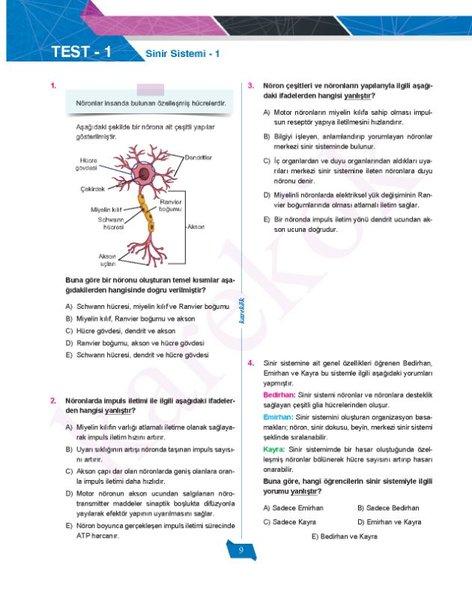 AYT Biyoloji Soru Bankası (2.Oturum) | Karekök Eğitim Yayın (İnce Kapak) - Resim 2