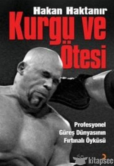 Kurgu ve Ötesi - Hakan Haktanır kitap kapağı