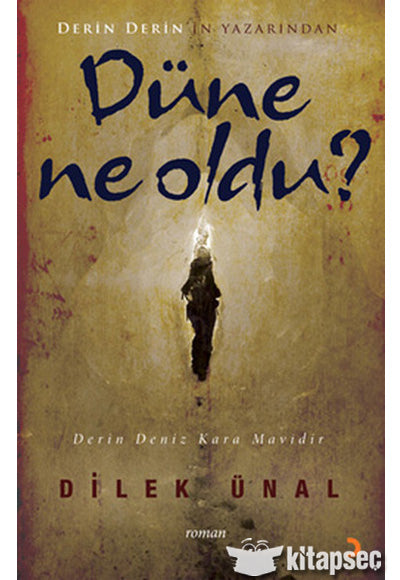 Düne Ne Oldu? - Dilek Ünalan kitap kapağı