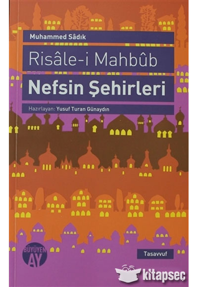 Risale-i Mahbub Nefsin Şehirleri - Muhammed Sadık kitap kapağı