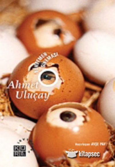 Yönetmen Sineması-Ahmet Uluçay - Edisyon kitap kapağı