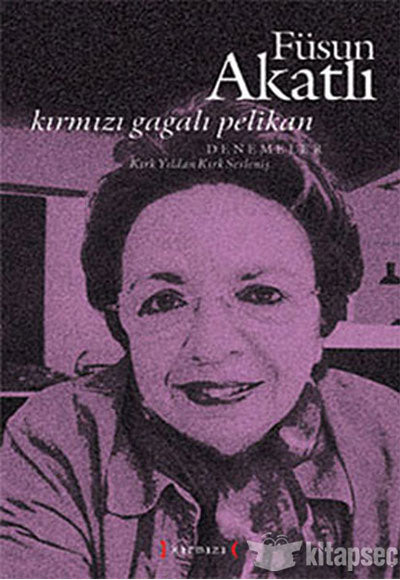 Kırmızı Gagalı Pelikan - Füsun Akatlı kitap kapağı