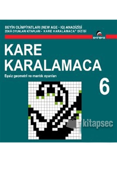 Kare Karalamaca 6 Ekinoks Yayınları - Ahmet Karaçam kitap kapağı