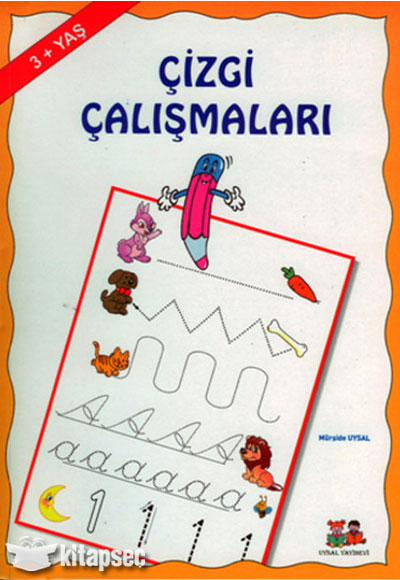 Çizgi Çalışmaları - Mürşide Uysal kitap kapağı