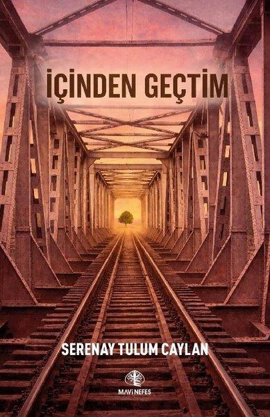 İçinden Geçtim | Mavi Nefes (İnce Kapak) - Resim 1