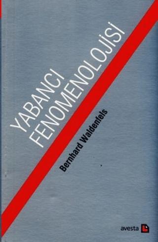 Yabancı Fenomonolojisi | Avesta Yayınları (Ciltsiz) - Resim 1